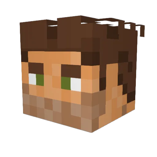 Wristrocket323 Minecraft avatar head, 3D render