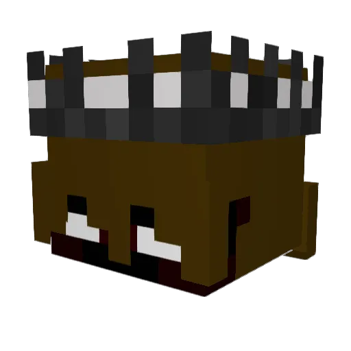 WriterBun Minecraft avatar head, 3D render