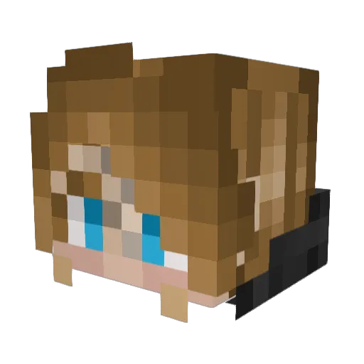WriterGal Minecraft avatar head, 3D render