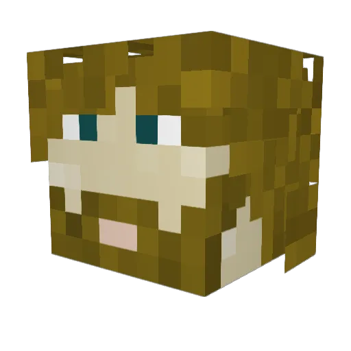 Writer_Tinfoot Minecraft avatar head, 3D render