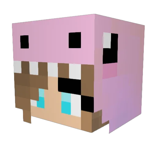 WritingVerses Minecraft avatar head, 3D render