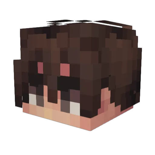 WrittenByKyu Minecraft avatar head, 3D render