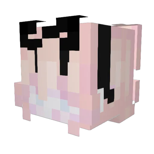 WrittenByLDR Minecraft avatar head, 3D render