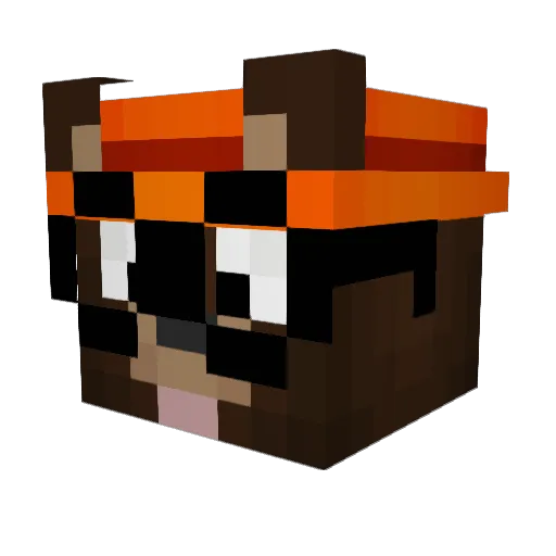 WrittenInReverse Minecraft avatar head, 3D render