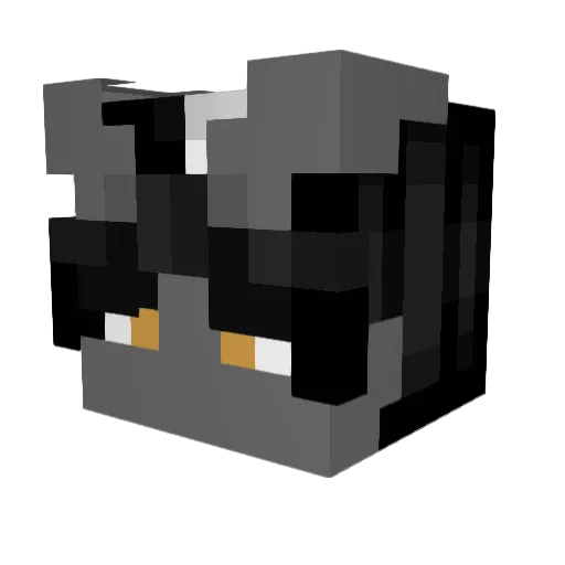 WrittenSaucer95 Minecraft avatar head, 3D render