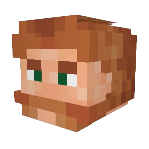 Wrizzl2 Minecraft avatar head, 3D render