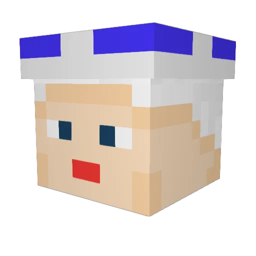 Wrjen Minecraft avatar head, 3D render