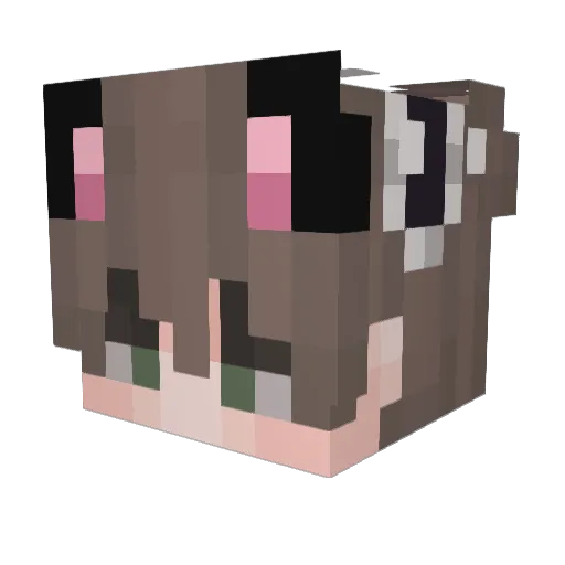 Wrke Minecraft avatar head, 3D render