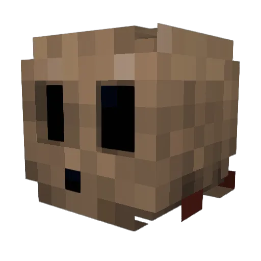 Wroclaw_ Minecraft avatar head, 3D render