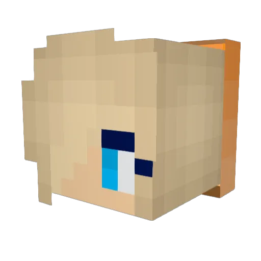 Wroggler Minecraft avatar head, 3D render