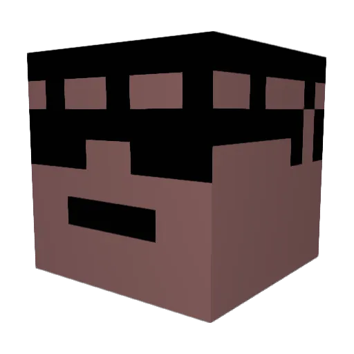 Wrong989 Minecraft avatar head, 3D render