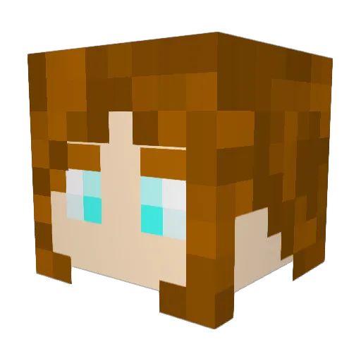 WrongLand251093 Minecraft avatar head, 3D render