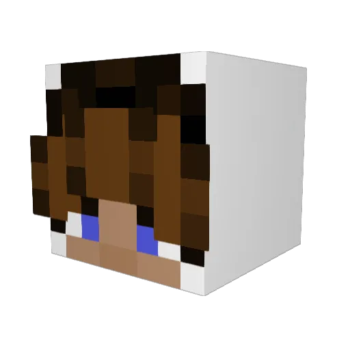 WrongSignals Minecraft avatar head, 3D render