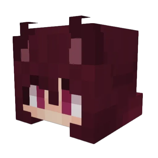 WrongStar Minecraft avatar head, 3D render