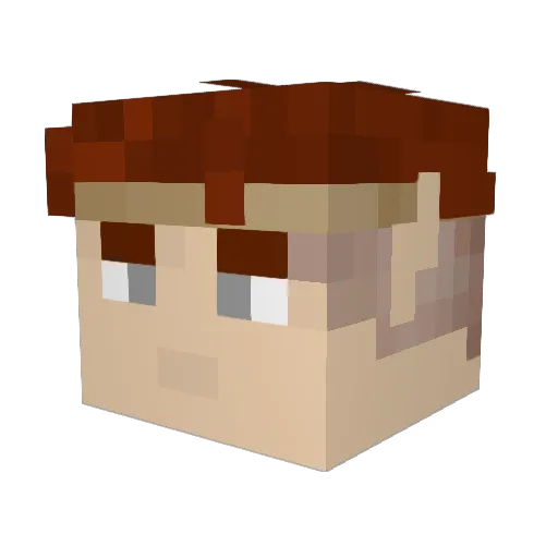 WrongWallace Minecraft avatar head, 3D render