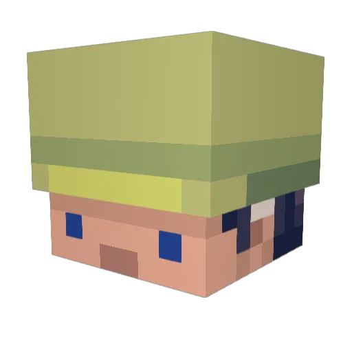 Wrongfulgrain86 Minecraft avatar head, 3D render