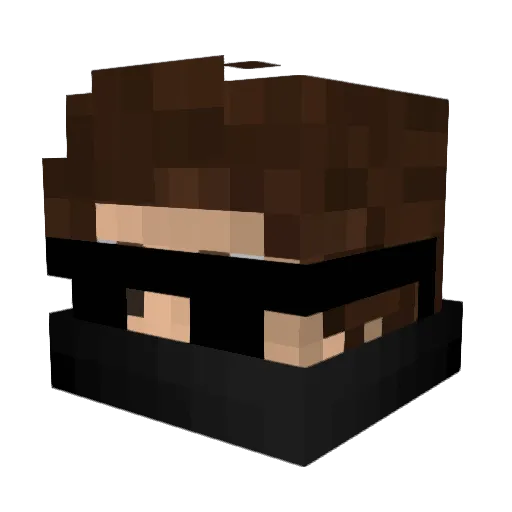 Wronkless Minecraft avatar head, 3D render