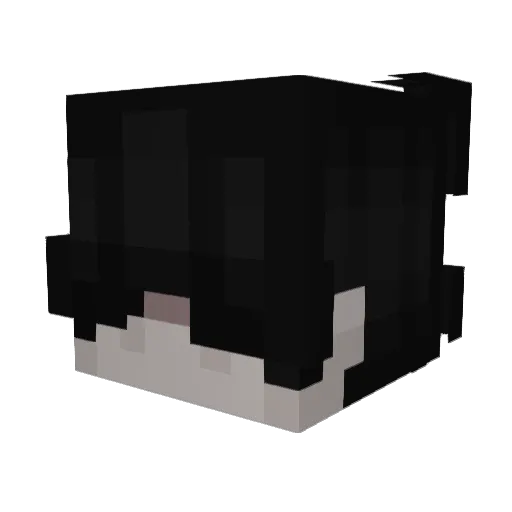 Wrxt Minecraft avatar head, 3D render