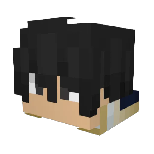 Wrygames Minecraft avatar head, 3D render