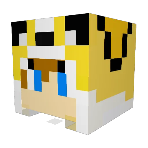 WsCorgi Minecraft avatar head, 3D render
