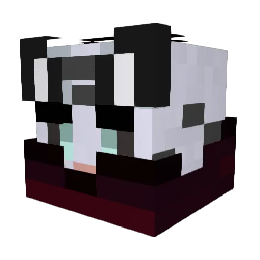 WsTiger_Voidoxo Minecraft avatar head, 3D render