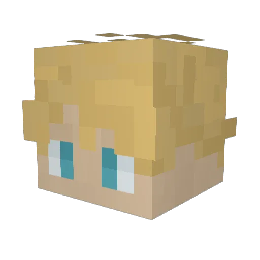 Wsgoodie Minecraft avatar head, 3D render