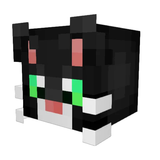 Wt737 Minecraft avatar head, 3D render