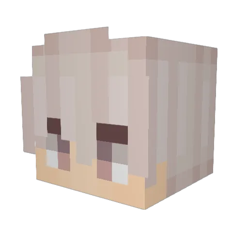 WtappedU Minecraft avatar head, 3D render