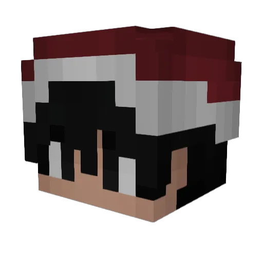 WtappingZ Minecraft avatar head, 3D render