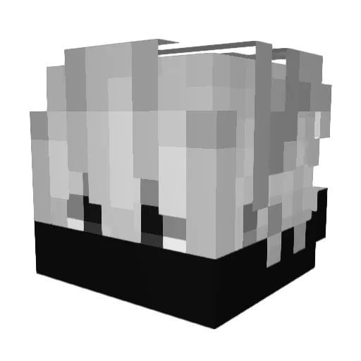 WtfKapii13 Minecraft avatar head, 3D render