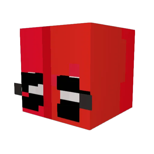 Wtf_Zay Minecraft avatar head, 3D render