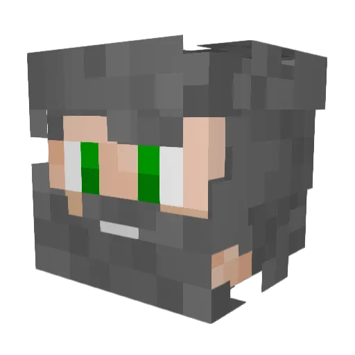 Wtfigohere Minecraft avatar head, 3D render