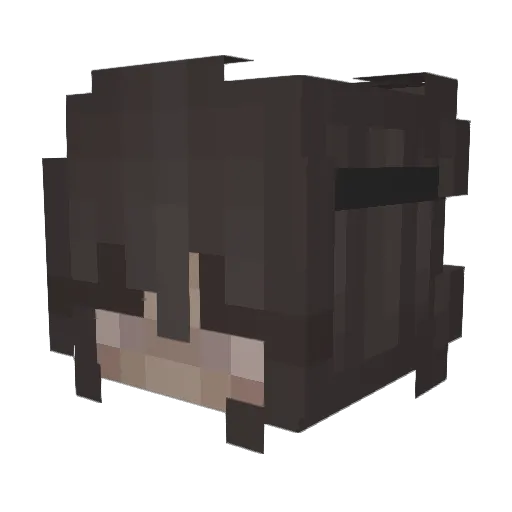 WthAbbyy Minecraft avatar head, 3D render