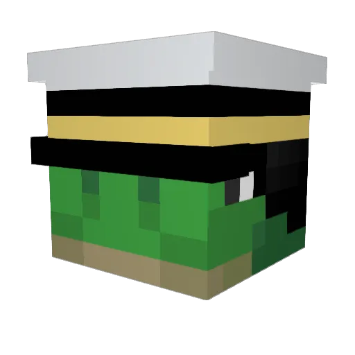 Wtonz Minecraft avatar head, 3D render