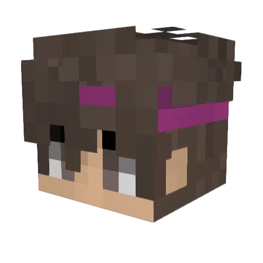 Wtoroi_akkaunt Minecraft avatar head, 3D render