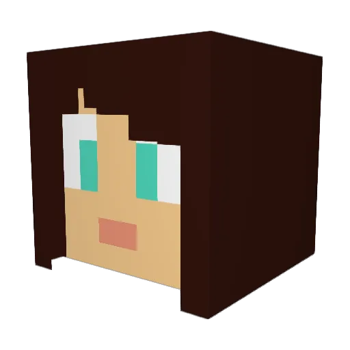 WuJieXi Minecraft avatar head, 3D render