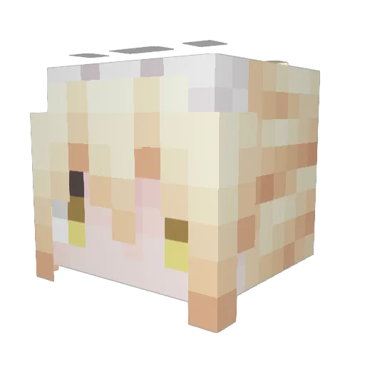 WuNiannnnn Minecraft avatar head, 3D render