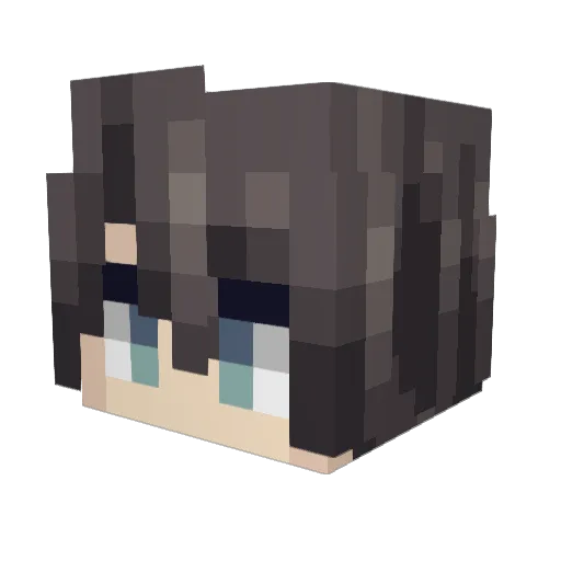 WuShang23 Minecraft avatar head, 3D render