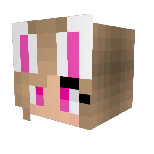 WuXiangNiuRou Minecraft avatar head, 3D render