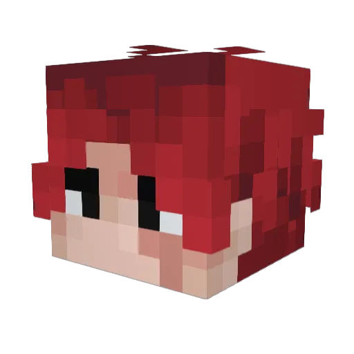 Wu_Yan0 Minecraft avatar head, 3D render