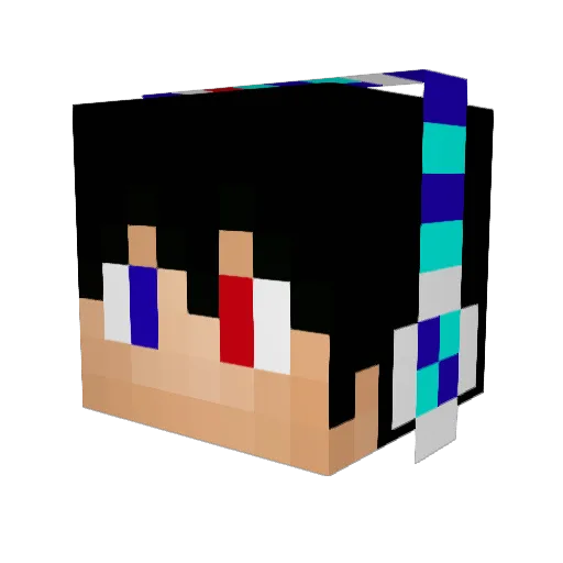 Wu_bear Minecraft avatar head, 3D render