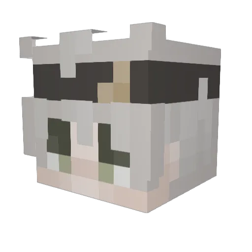 Wubber567 Minecraft avatar head, 3D render
