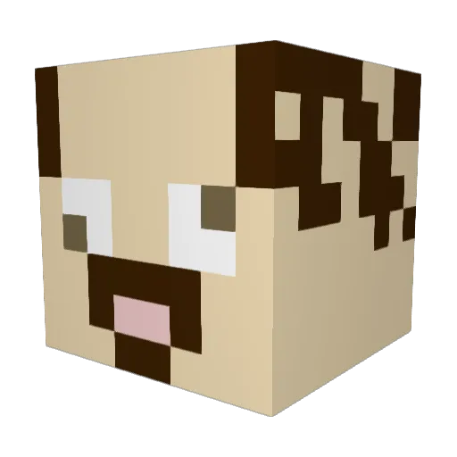 Wubss Minecraft avatar head, 3D render