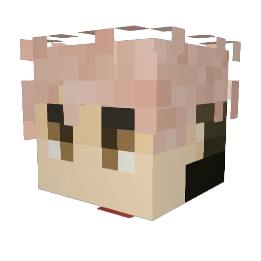 Wudagu Minecraft avatar head, 3D render