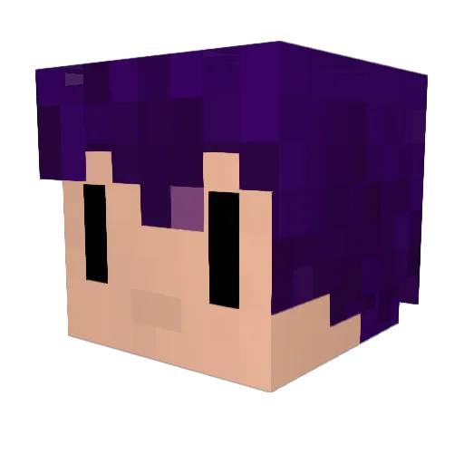 Wudonggg Minecraft avatar head, 3D render