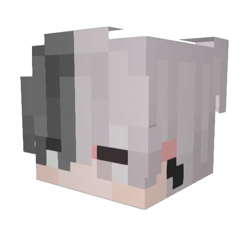 Wuhexi Minecraft avatar head, 3D render