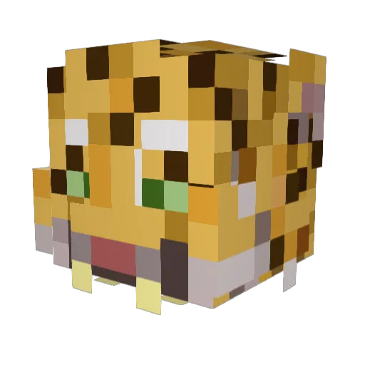 Wuji1234 Minecraft avatar head, 3D render