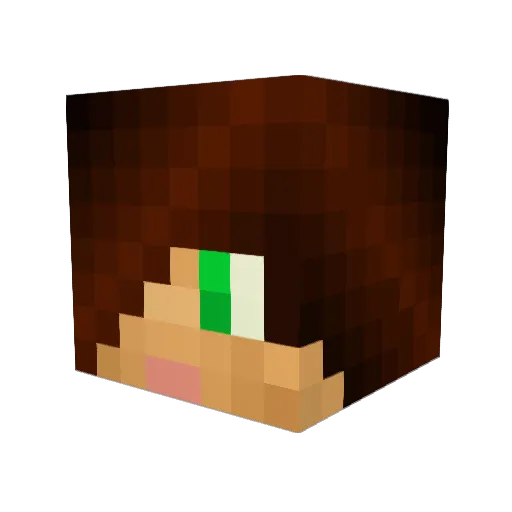 Wujio Minecraft avatar head, 3D render