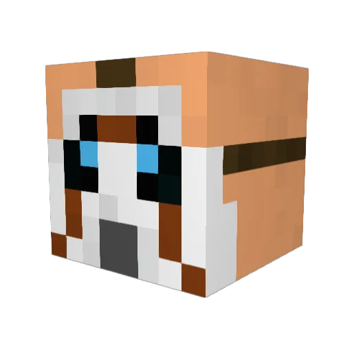 Wujt12 Minecraft avatar head, 3D render
