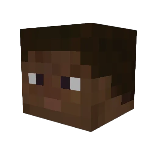 Wukota Minecraft avatar head, 3D render